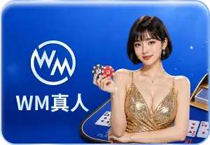 WM百家樂